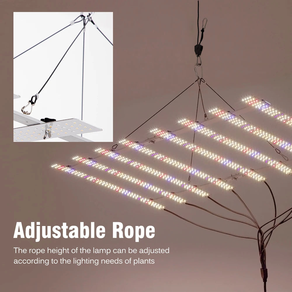 Full Spectrum LED Grow Light 100W 200W AC100-277V LM281B For Veg Flowers Greenhouses Plant Tent Growing Lamp